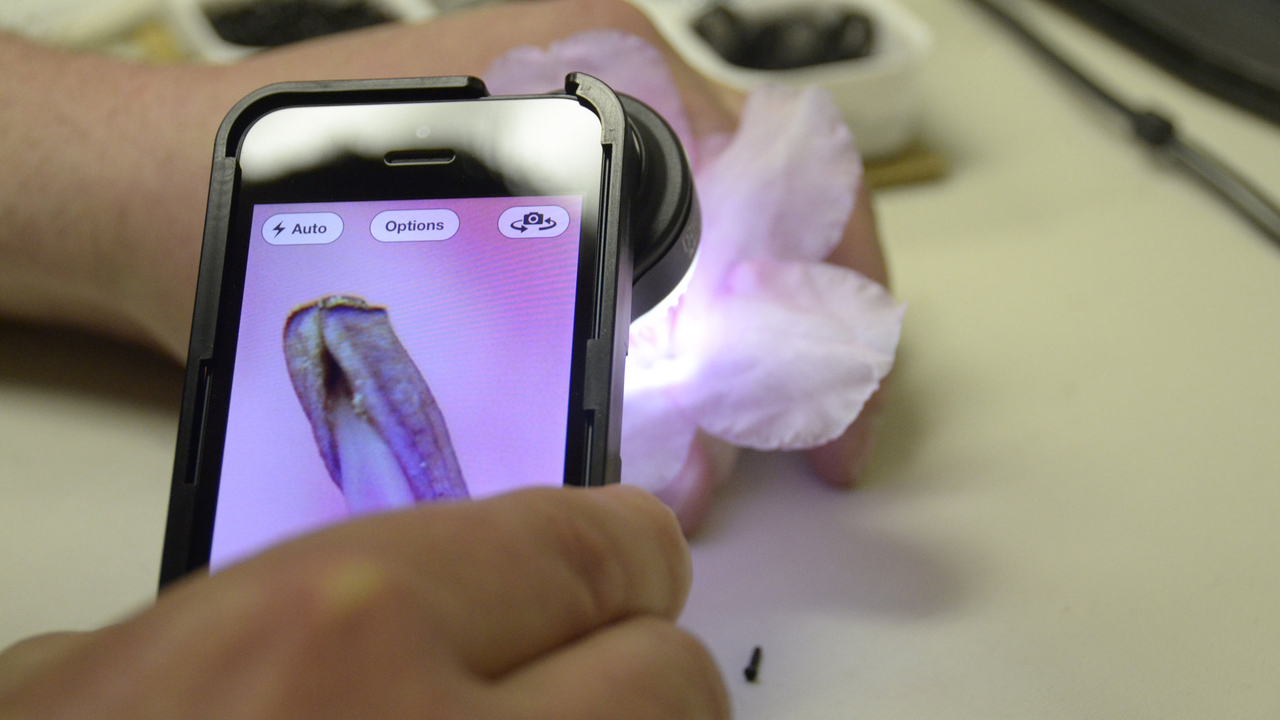 ProScope Micro Mobile: Professional Microscope for iPhone and the iPad