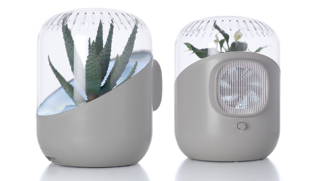 ANDREA: Plant-Based Air Purifier