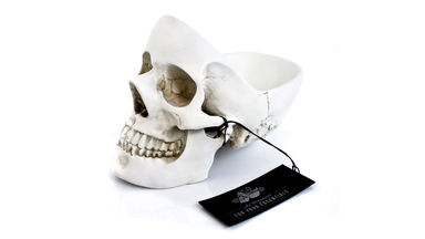 Skull Tidy Organizer