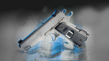 Intelligun Features Fingerprint Locking System