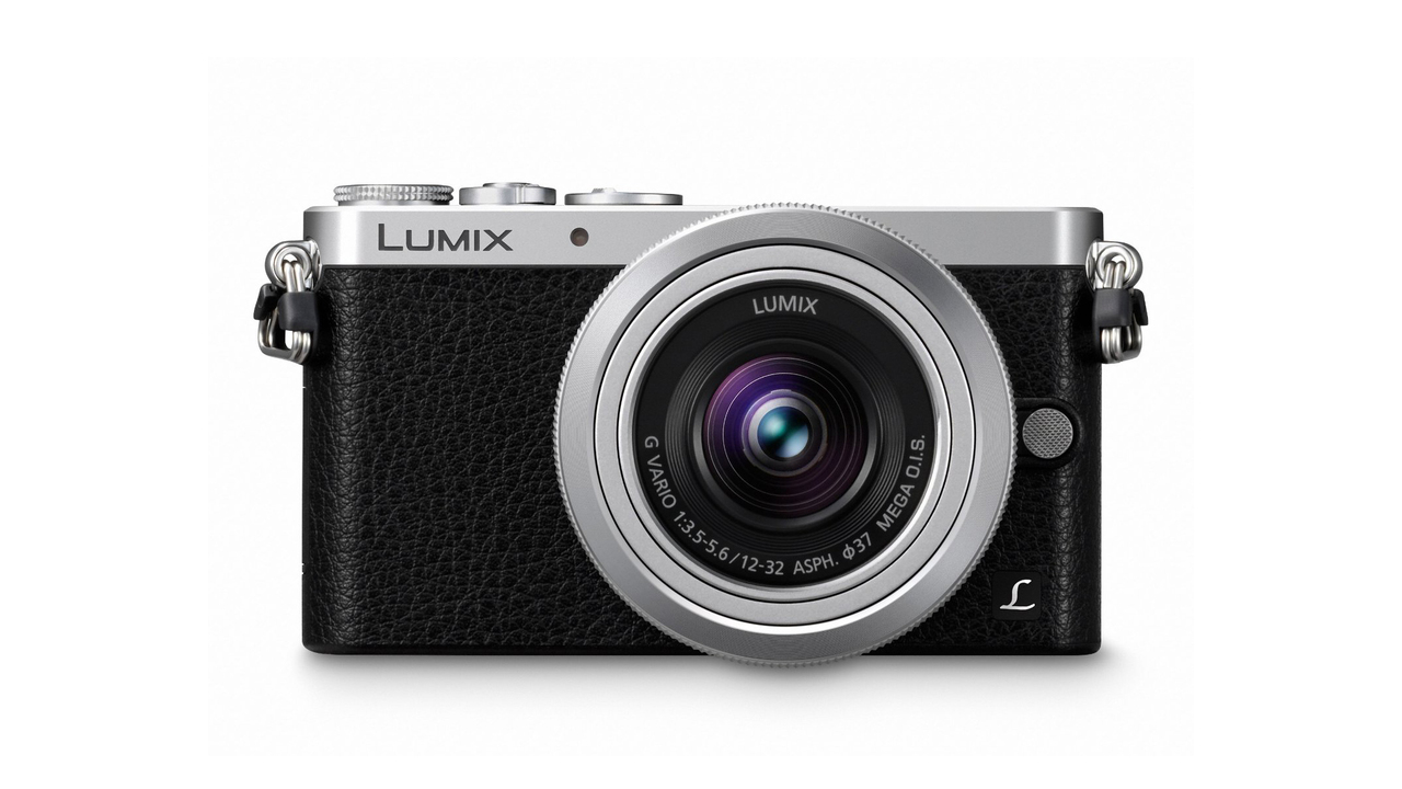 Panasonic LUMIX GM1 Digital Camera