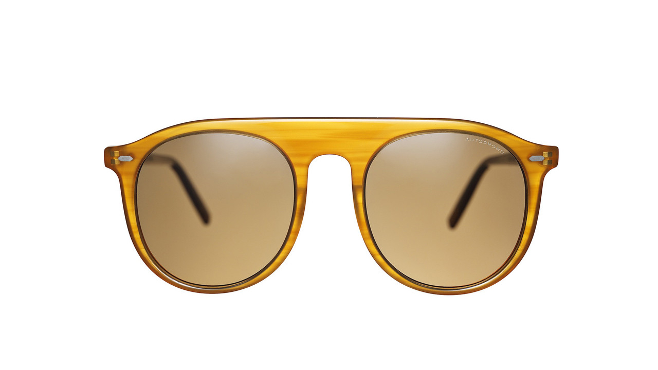 HODINKEE Edition Stelvio Sunglasses
