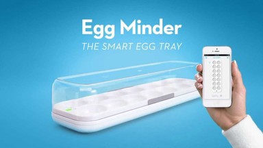 Wirelessly Keep Tabs on Your Eggs with Egg Minder