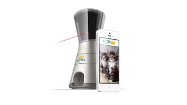 Connect and Interact with Your Cats While not at Home Using Kittyo