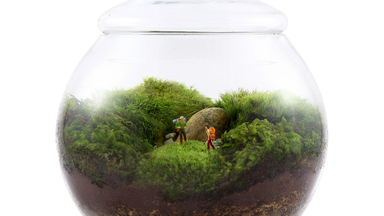 Uncharted Territory by Twig Terrariums