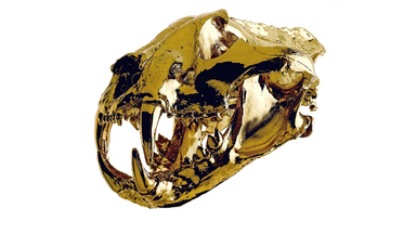 Life Size 24 Karat Gold Tiger Skull