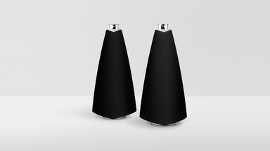 Bang & Olufsen BeoLab 20 Wireless Speakers