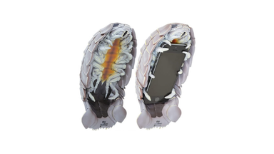 iPhone 5/5s Isopod Deep Sea Creature Shell Cover