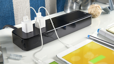 Pickup Power Portable Battery and Surge Protector