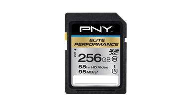 PNY Elite Performance 256 GB High Speed SDXC Class 10 Flash Card