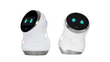 LG Hub Robot for the Connected Home