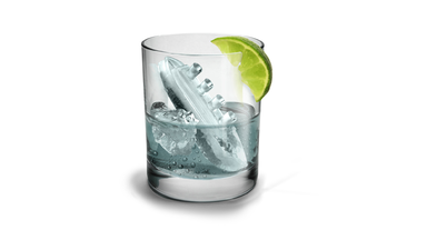 Gin and Titonic Ice Cube Tray